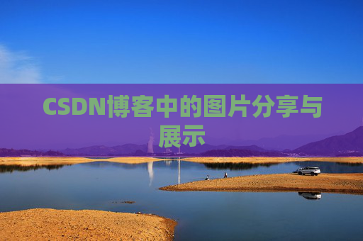 CSDN博客中的图片分享与展示